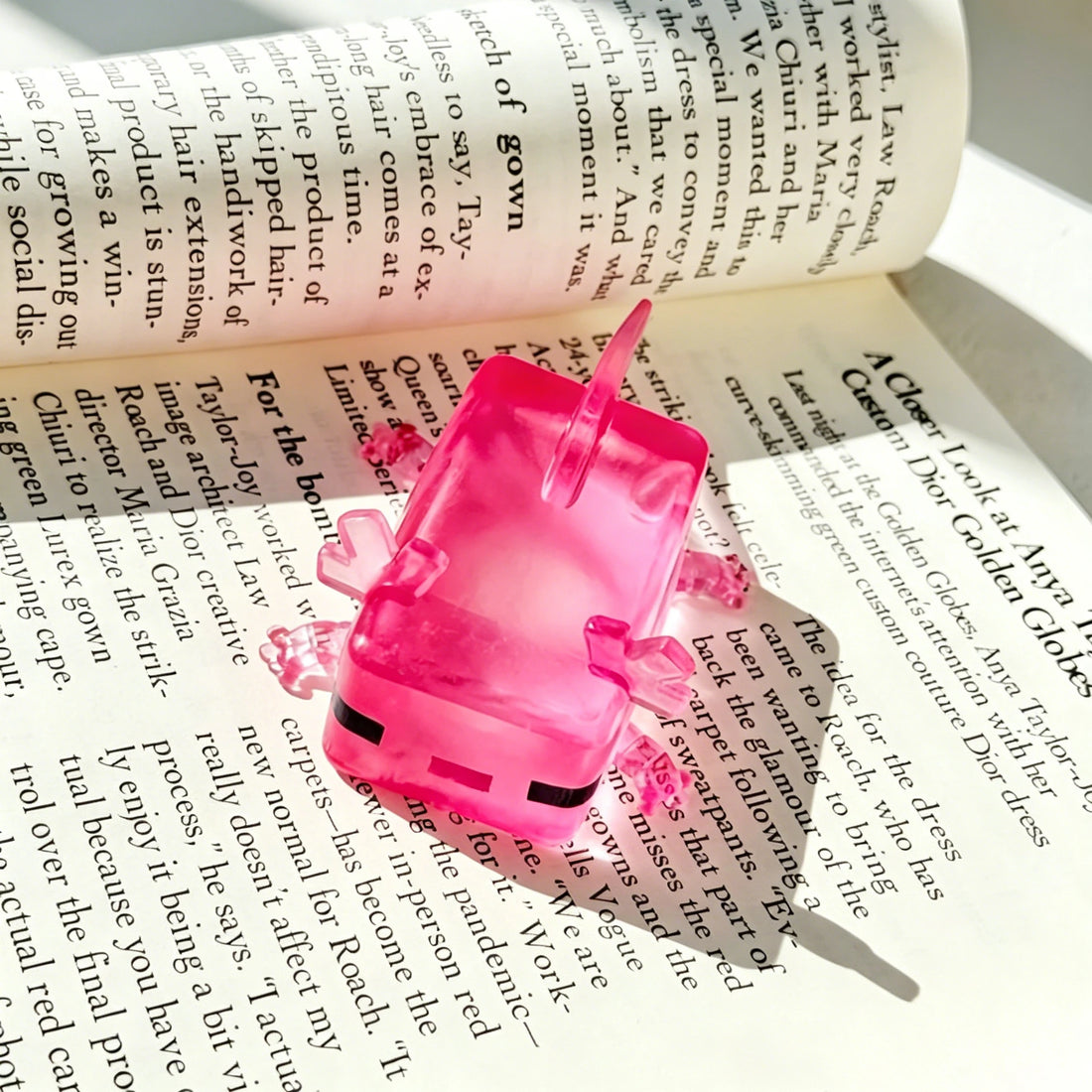 Transparent Cube Axolotl Squishy – photo 3